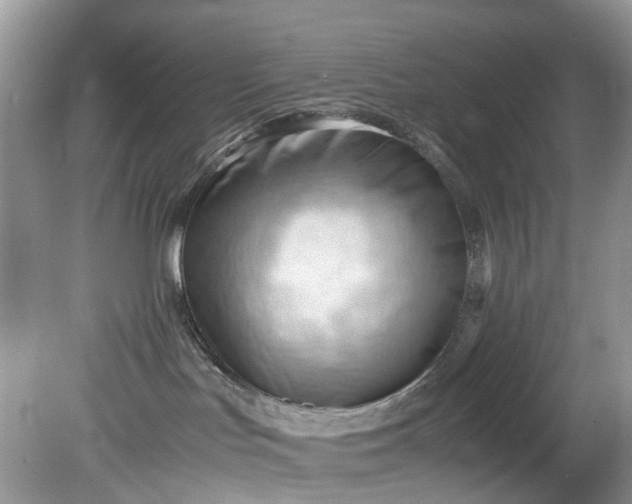 X0000079340047200612011945