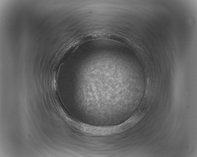 X0000079340048200612011945