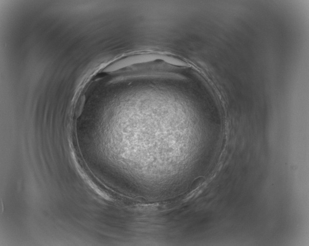 X0000079340049200612011944