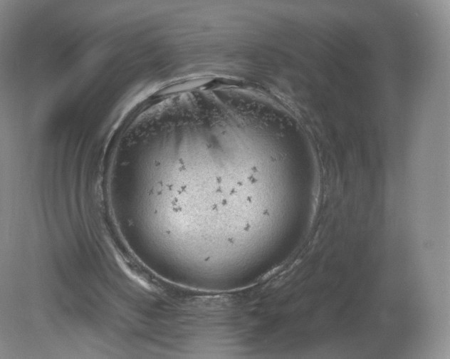 X0000079340050200612011944