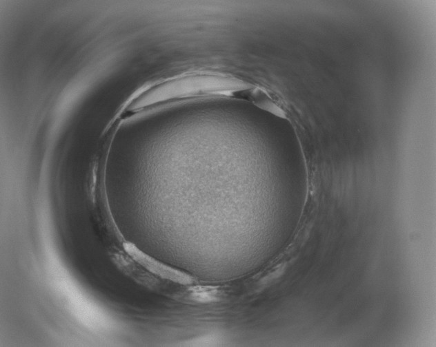 X0000079340052200612011944