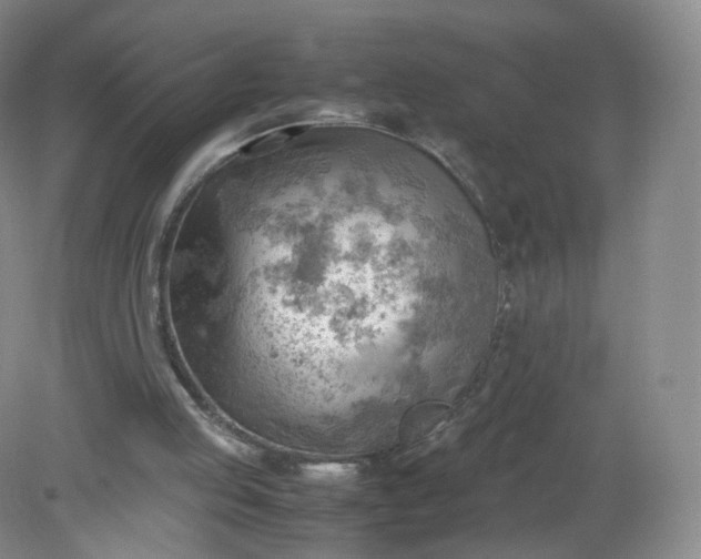 X0000079340053200612011944