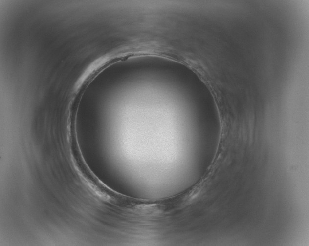 X0000079340054200612011944