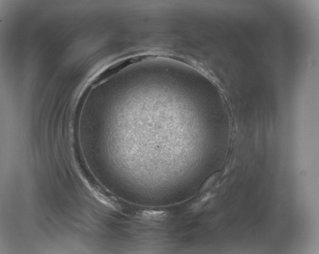 X0000079340055200612011944