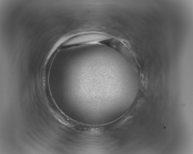 X0000079340056200612011944