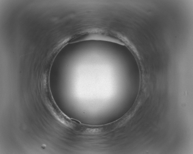 X0000079340057200612011944