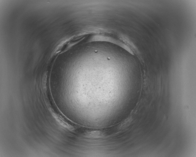 X0000079340058200612011944