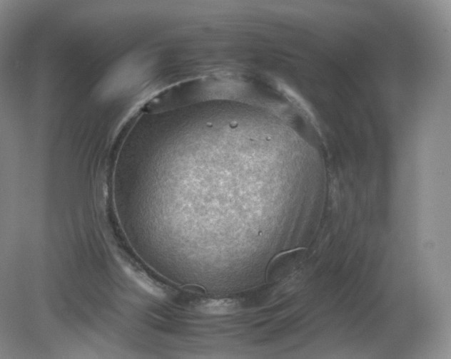 X0000079340059200612011944