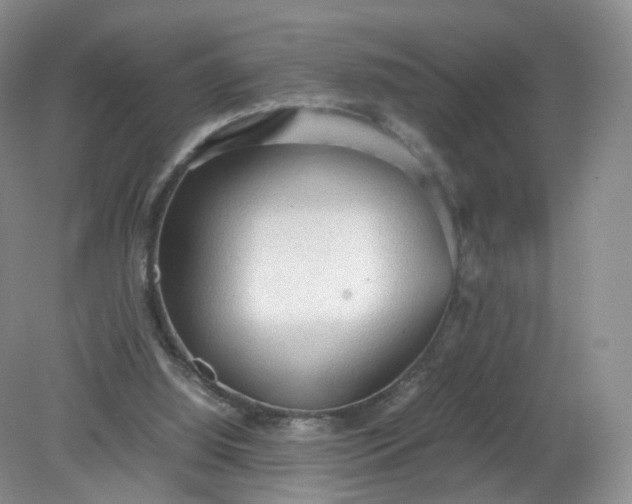 X0000079340060200612011944