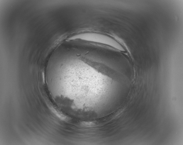 X0000079340061200612011944