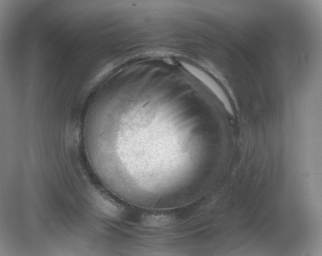 X0000079340063200612011944