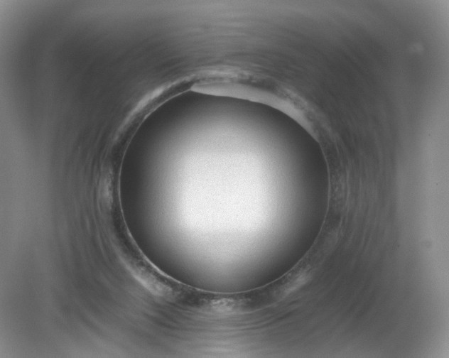 X0000079340064200612011944