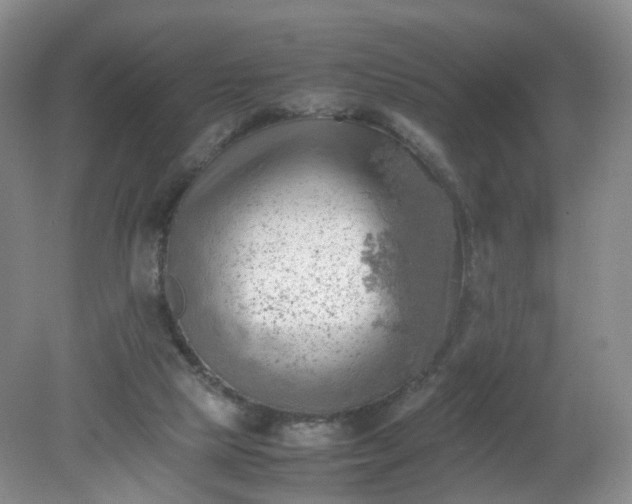 X0000079340065200612011944