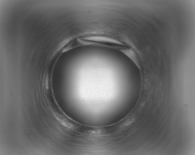 X0000079340068200612011944