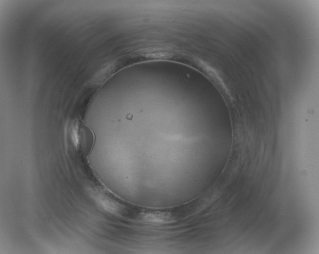 X0000079340069200612011944