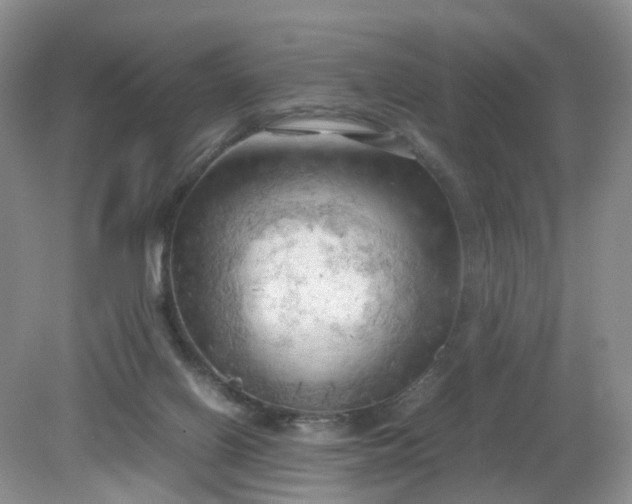 X0000079340070200612011944