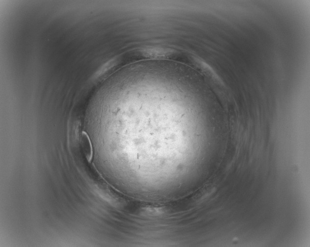 X0000079340071200612011944