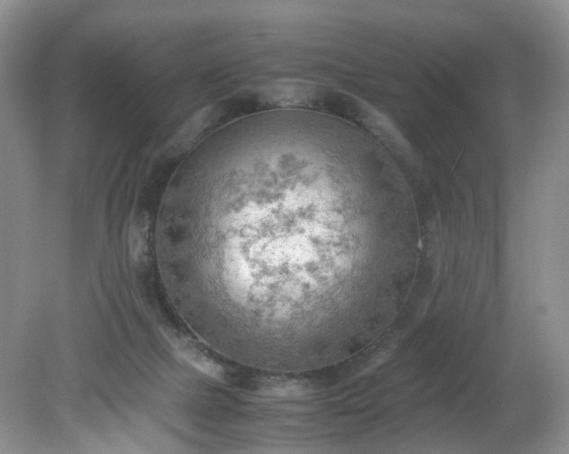 X0000079340073200612011944