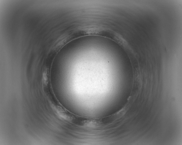 X0000079340074200612011945