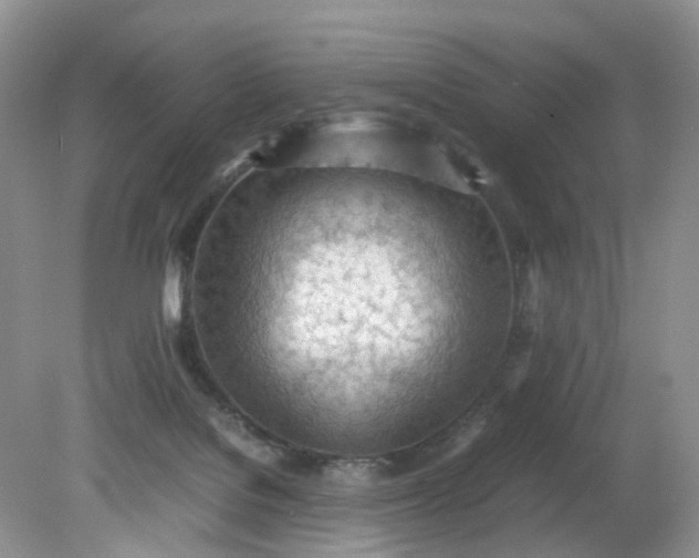 X0000079340076200612011945