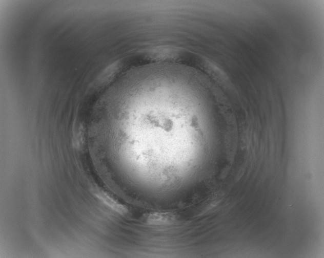 X0000079340077200612011945