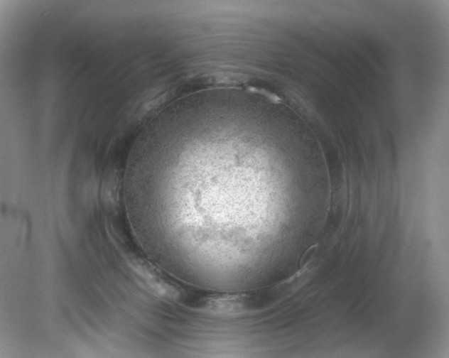 X0000079340078200612011945