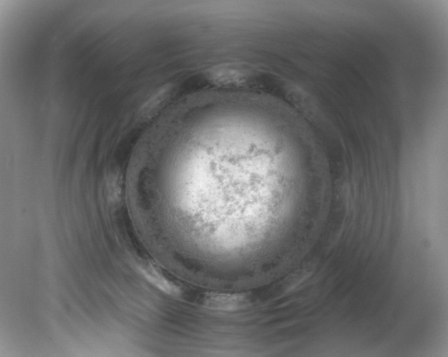 X0000079340081200612011945