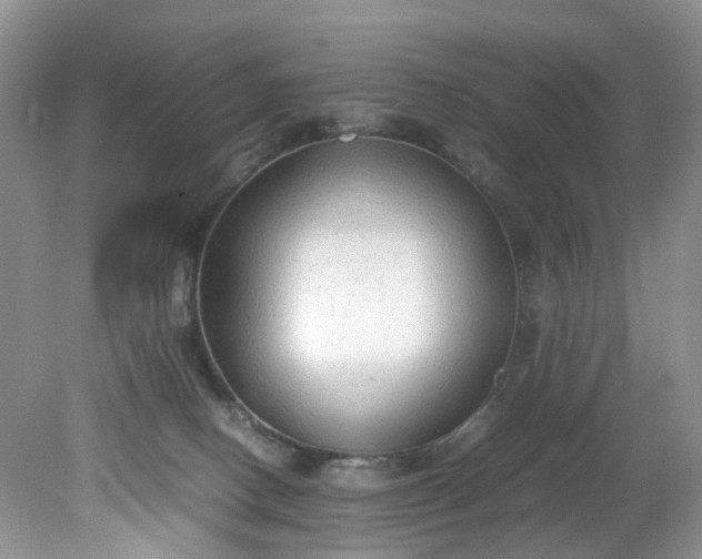 X0000079340082200612011945