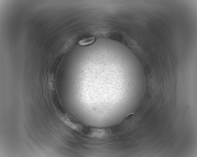 X0000079340083200612011945