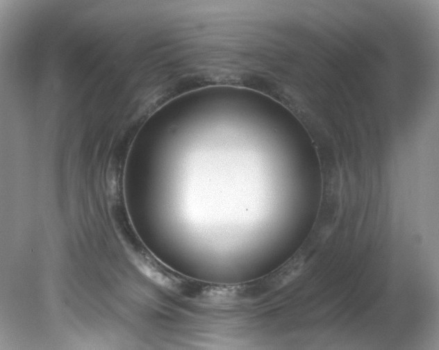 X0000079340084200612011945