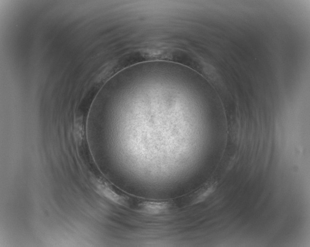 X0000079340085200612011945