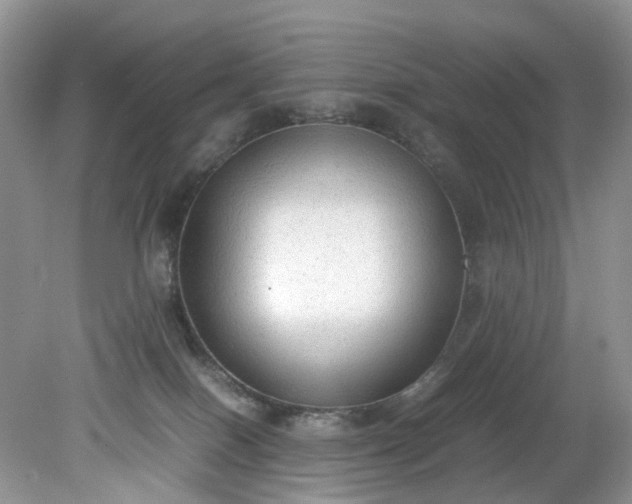 X0000079340086200612011945