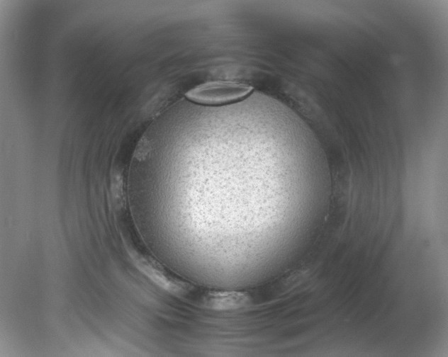 X0000079340087200612011945