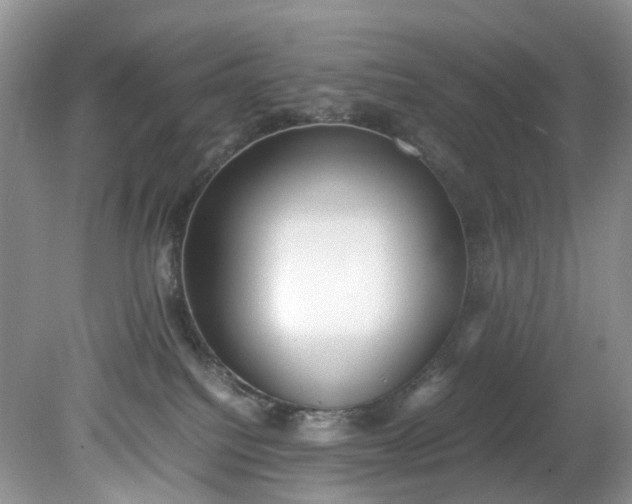 X0000079340088200612011945