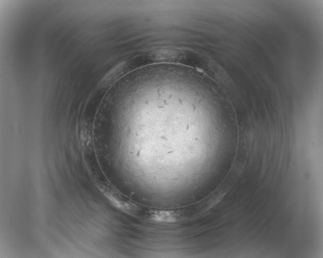 X0000079340091200612011945