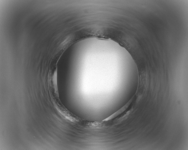 X0000079340092200612011945