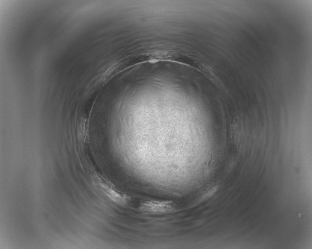 X0000079340093200612011945