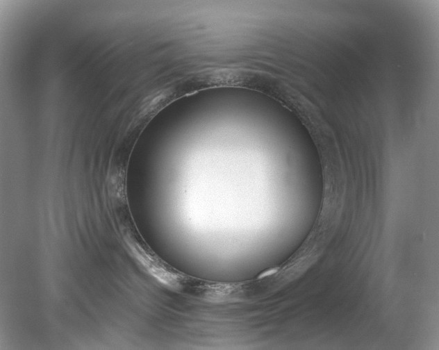 X0000079340096200612011945