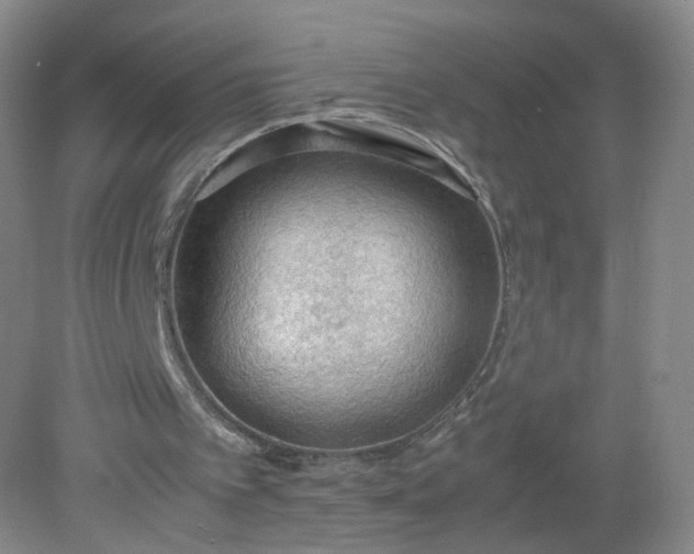 X0000079340097200612011944