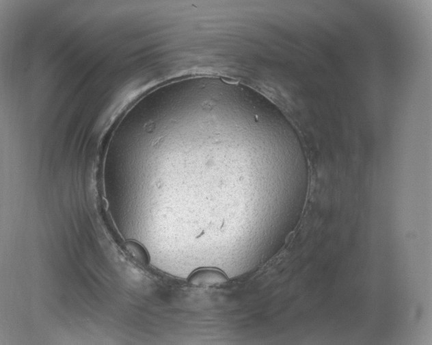 X0000079340098200612011944