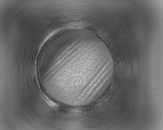 X0000079340100200612011944