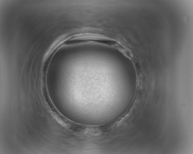 X0000079340101200612011944