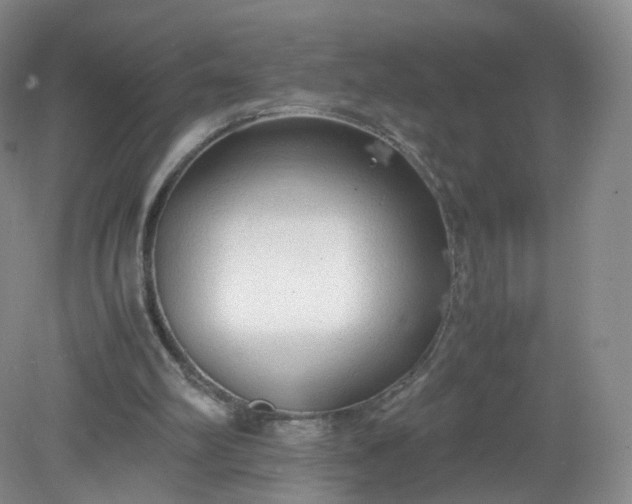 X0000079340102200612011944