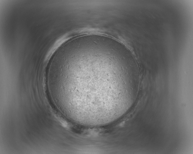 X0000079340103200612011944