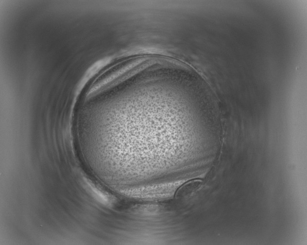 X0000079340104200612011944