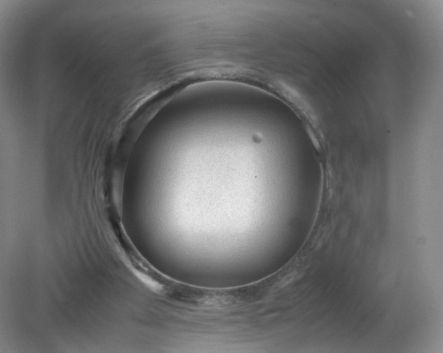 X0000079340105200612011944