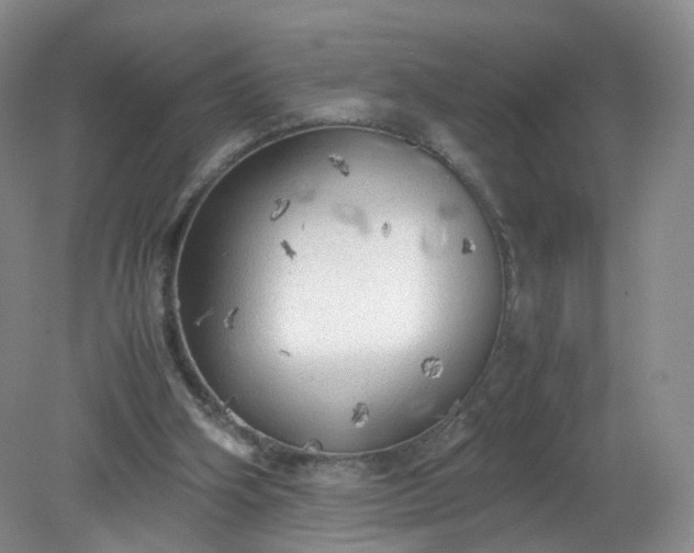 X0000079340106200612011944