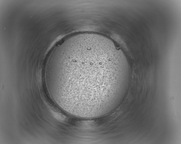 X0000079340108200612011944