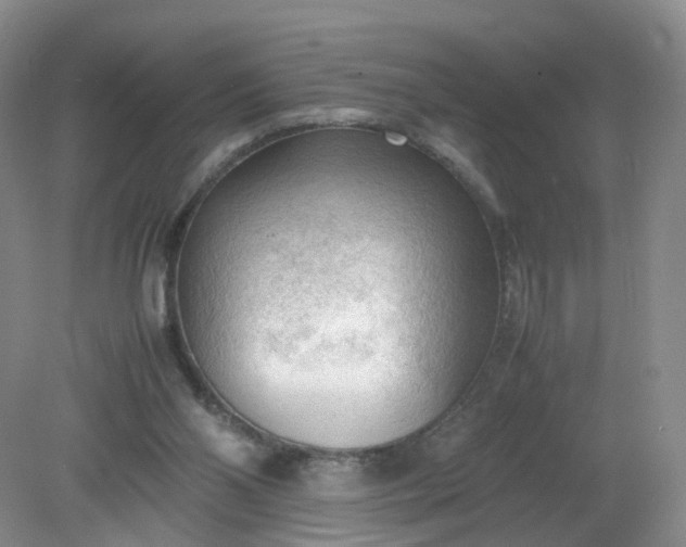 X0000079340110200612011944