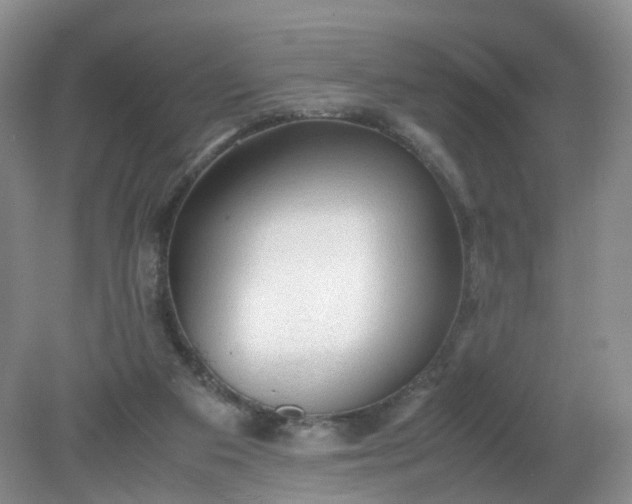 X0000079340113200612011944